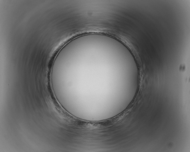 X0000112090346200908041053