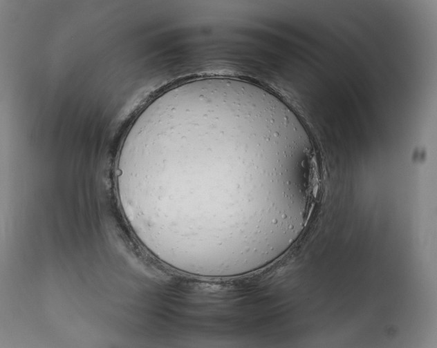 X0000112090347200908041053
