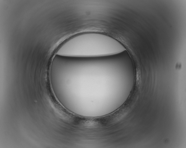 X0000112090348200908041053