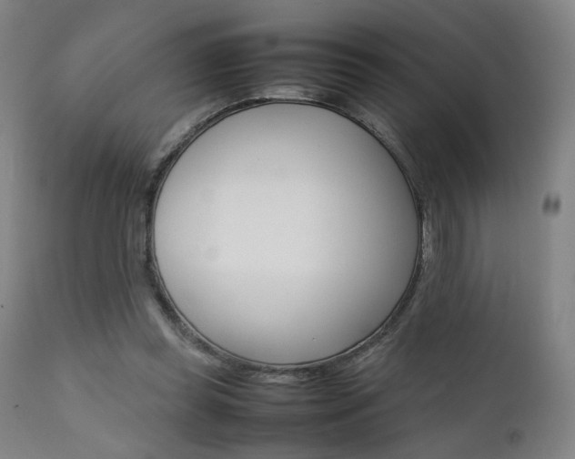 X0000112090349200908041053
