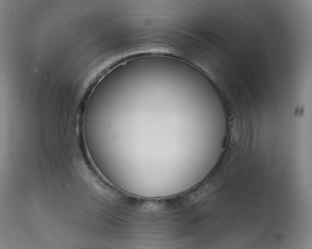 X0000112090350200908041053