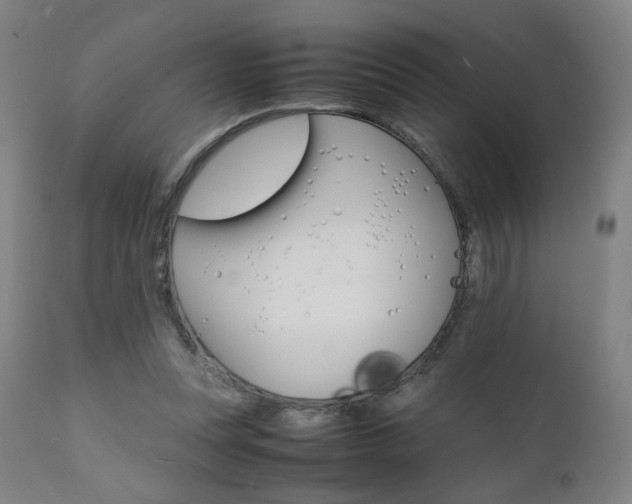 X0000112090351200908041053