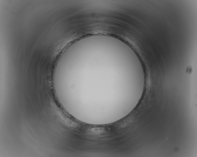 X0000112090353200908041053