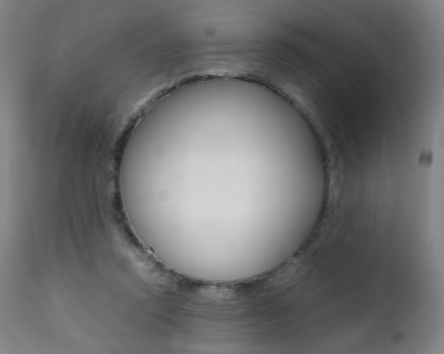 X0000112090354200908041053