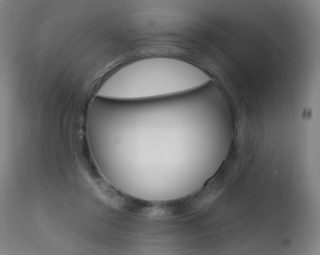 X0000112090356200908041053