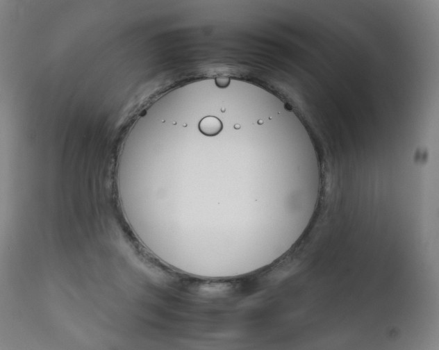 X0000112090357200908041053