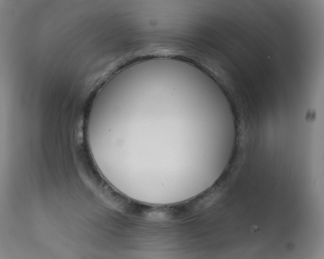 X0000112090358200908041053