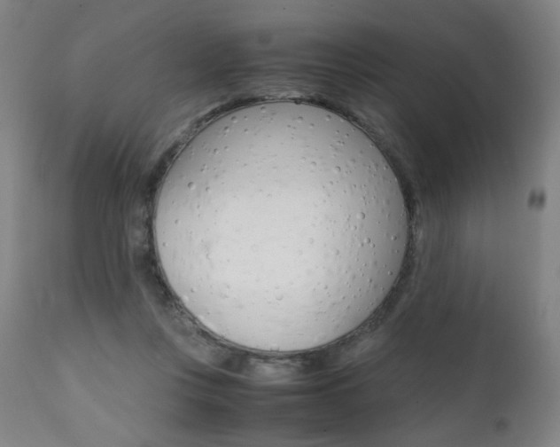 X0000112090359200908041053