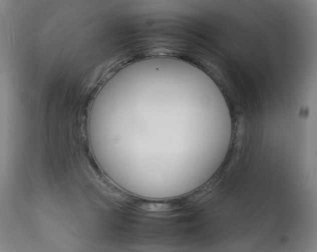 X0000112090361200908041053