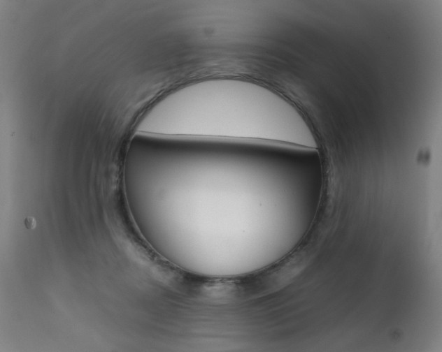 X0000112090362200908041053