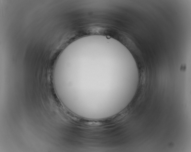 X0000112090363200908041053