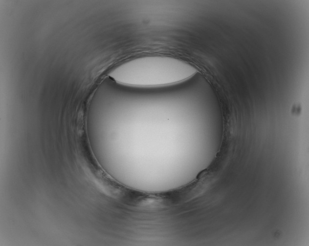 X0000112090364200908041053