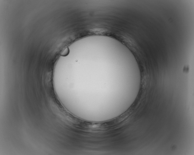 X0000112090365200908041054