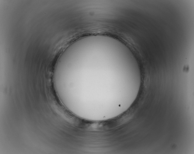 X0000112090366200908041054