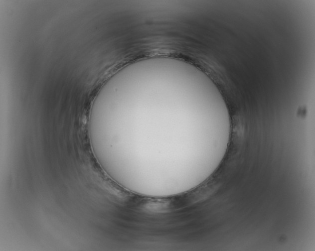 X0000112090369200908041054