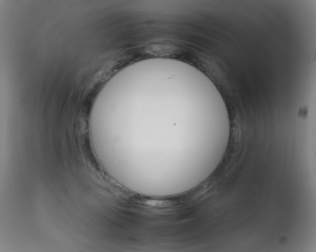 X0000112090371200908041054