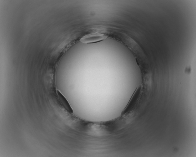 X0000112090372200908041054