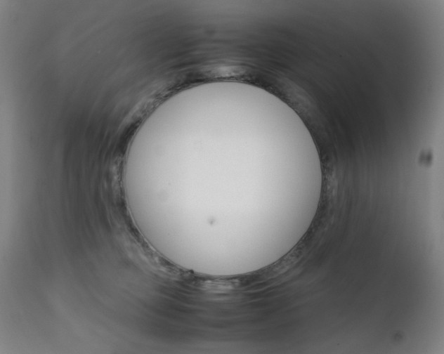 X0000112090373200908041054