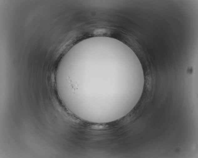 X0000112090375200908041054