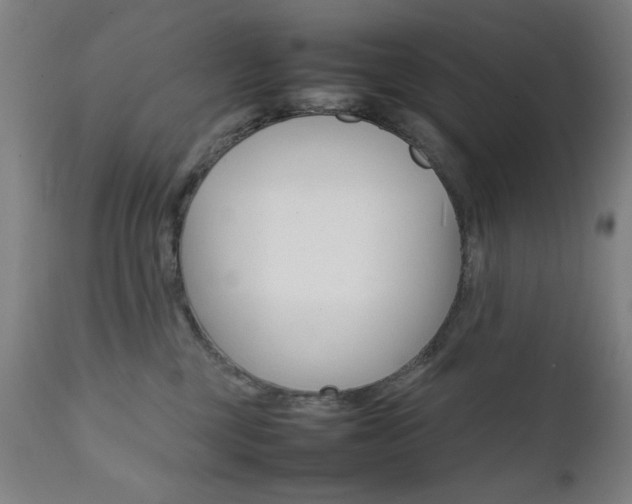 X0000112090377200908041054
