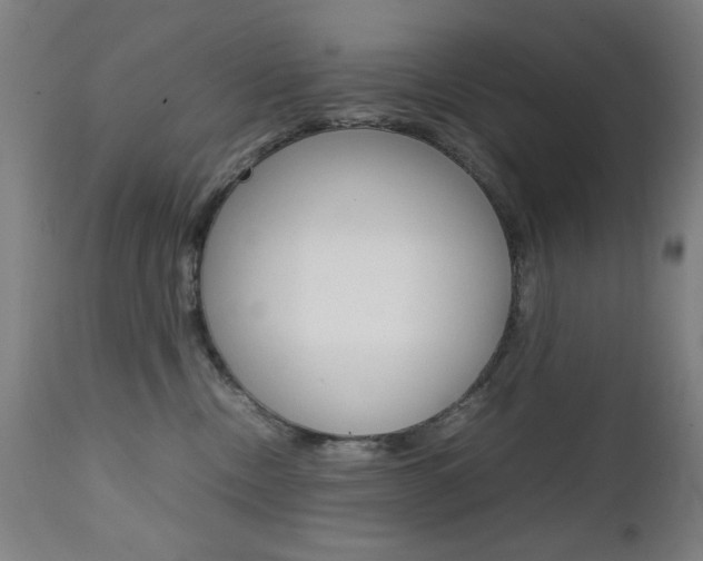 X0000112090378200908041054