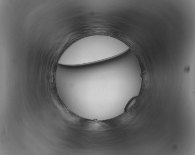 X0000112090379200908041054