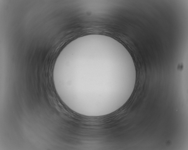 X0000112090380200908041054