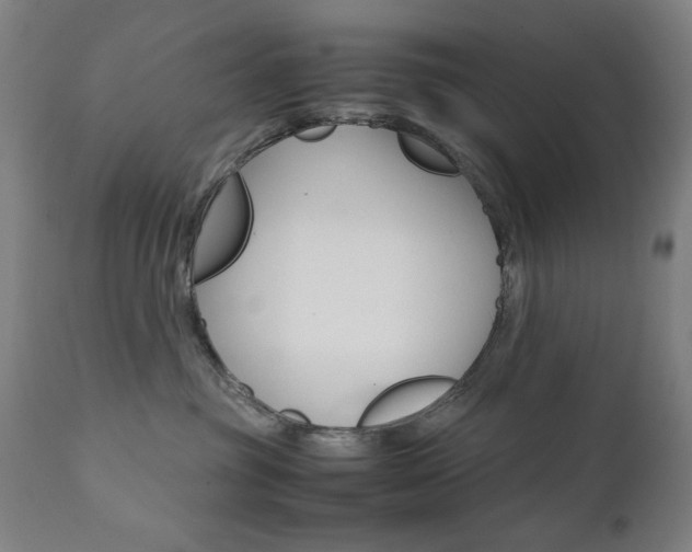 X0000112090381200908041054
