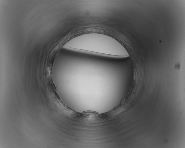 X0000112090382200908041054