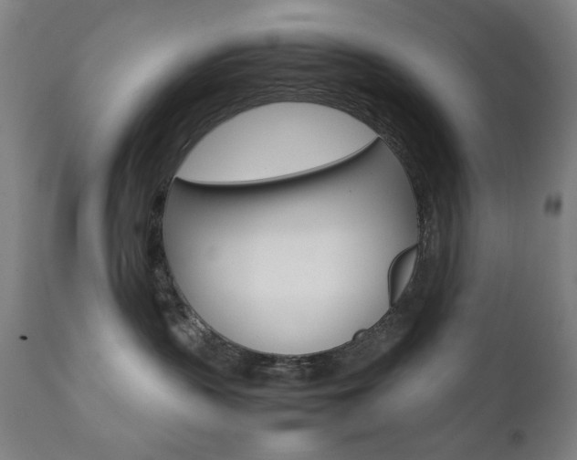 X0000112090383200908041054