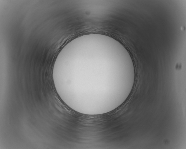 X0000112090384200908041054