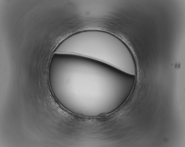 X0000112090385200908041053