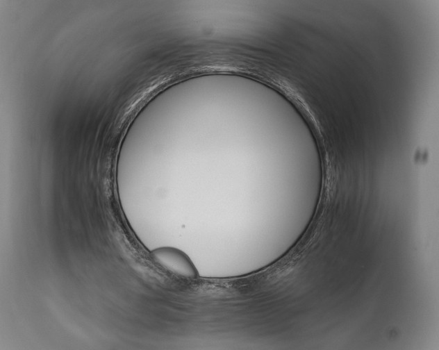 X0000112090386200908041053