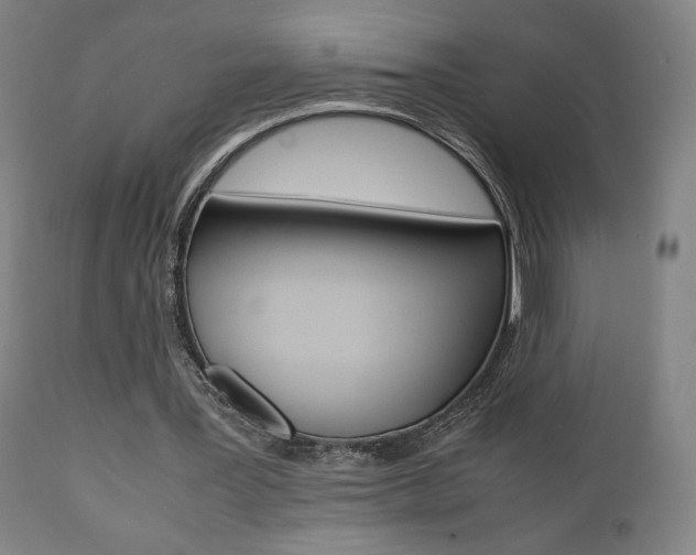 X0000112090387200908041053