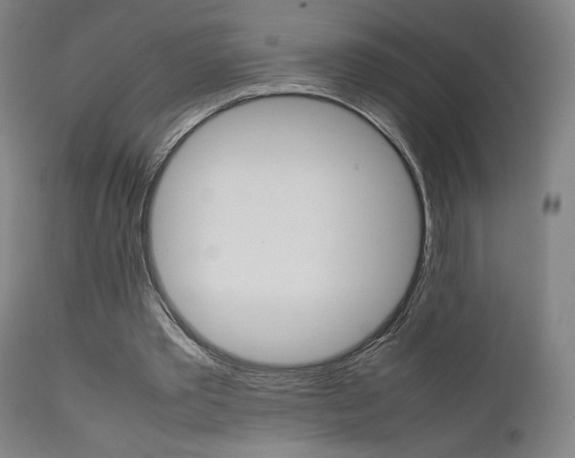 X0000112090389200908041053