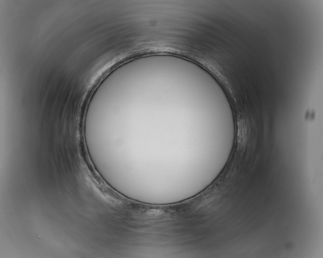 X0000112090390200908041053