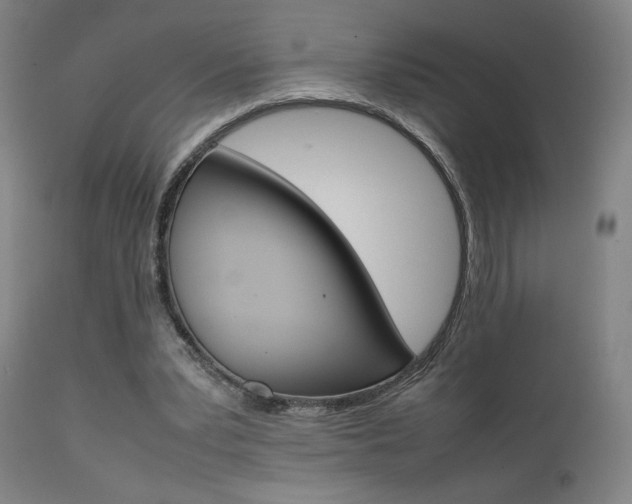 X0000112090391200908041053