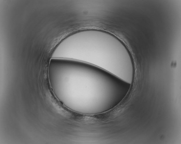 X0000112090393200908041053