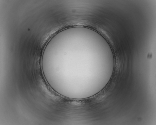 X0000112090394200908041053