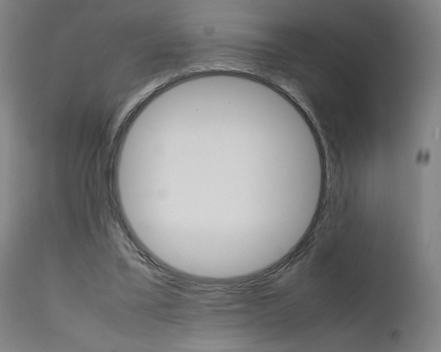 X0000112090395200908041053