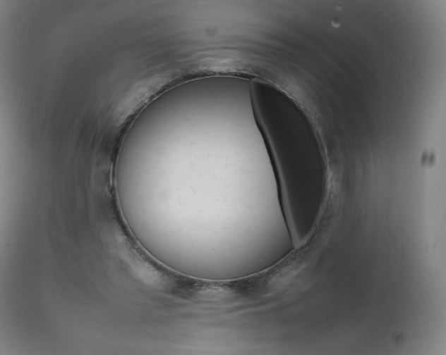 X0000112090397200908041053