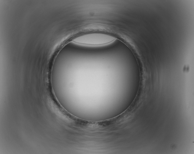 X0000112090399200908041053