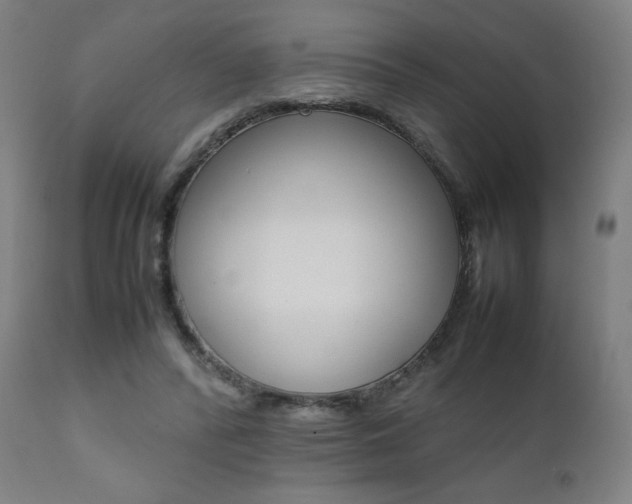 X0000112090400200908041053