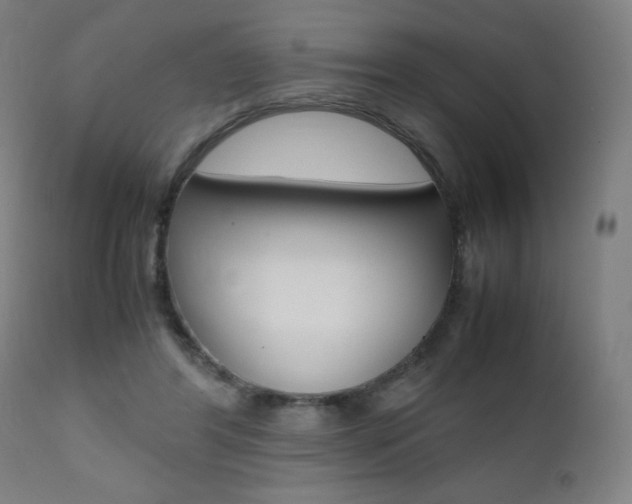 X0000112090404200908041053