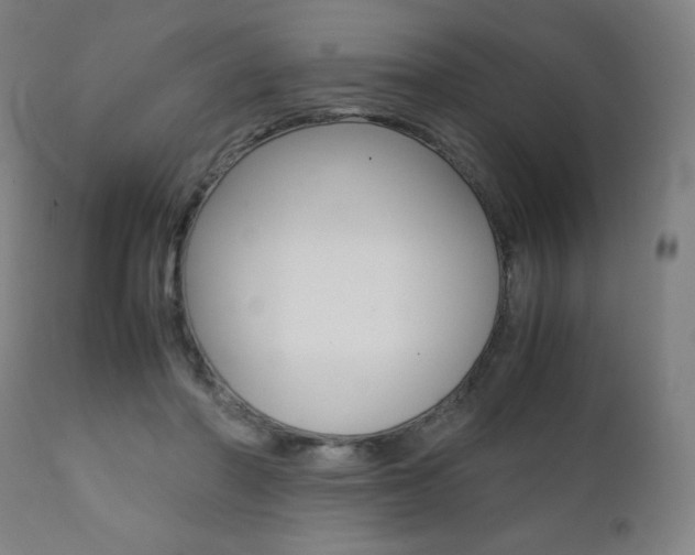 X0000112090406200908041053