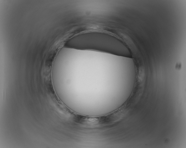 X0000112090409200908041053