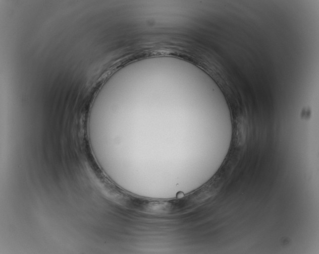 X0000112090410200908041053