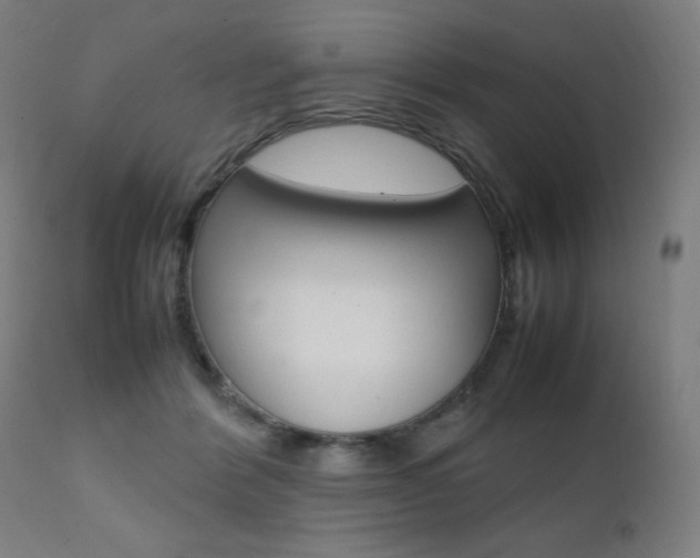 X0000112090412200908041053