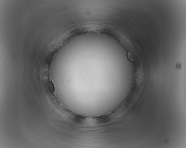 X0000112090413200908041053