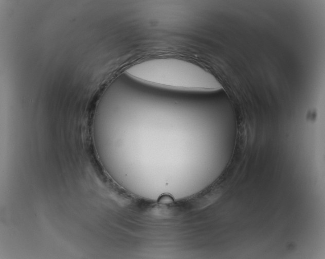 X0000112090416200908041053